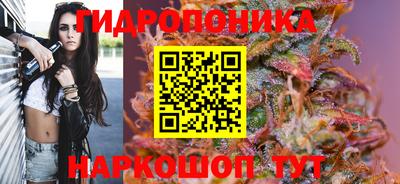 СК Краснодар