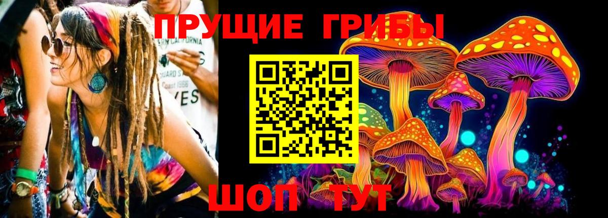 Галлюциногенные грибы Psilocybine cubensis  Псилоцибиновые грибы GOLDEN TEACHER  Вход с VPN  Домодедово 