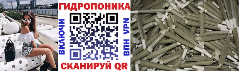 Бошки Шишки марихуана  Домодедово 